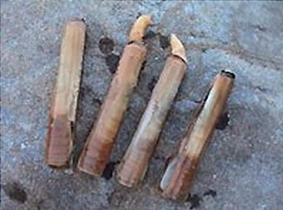 Bomba extracción de cebo